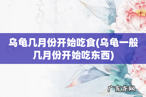 乌龟一般几月份开始吃东西 乌龟几月份开始吃食