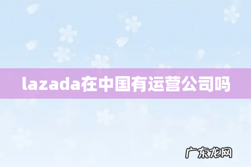 lazada在中国有运营公司吗