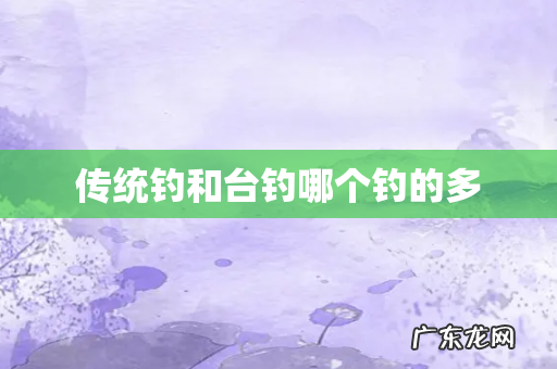 传统钓和台钓哪个钓的多