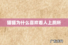 猫猫为什么喜欢看人上厕所