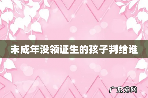 未成年没领证生的孩子判给谁