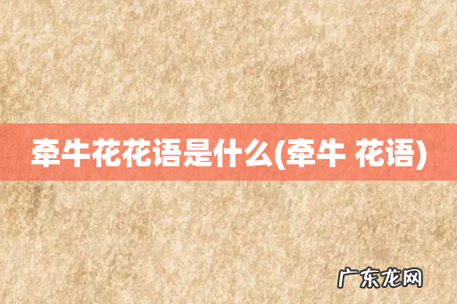 牵牛 花语 牵牛花花语是什么