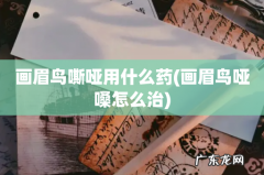 画眉鸟哑嗓怎么治 画眉鸟嘶哑用什么药