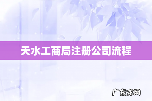 天水工商局注册公司流程