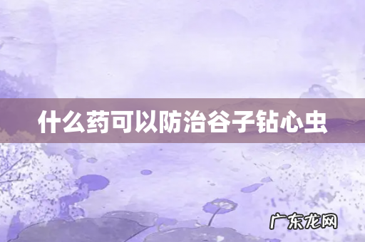 什么药可以防治谷子钻心虫