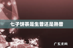 七子饼茶是生普还是熟普