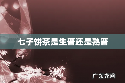 七子饼茶是生普还是熟普