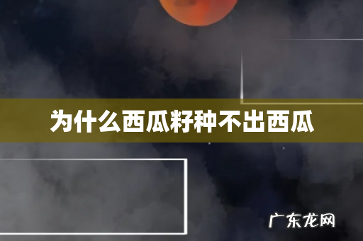 为什么西瓜籽种不出西瓜