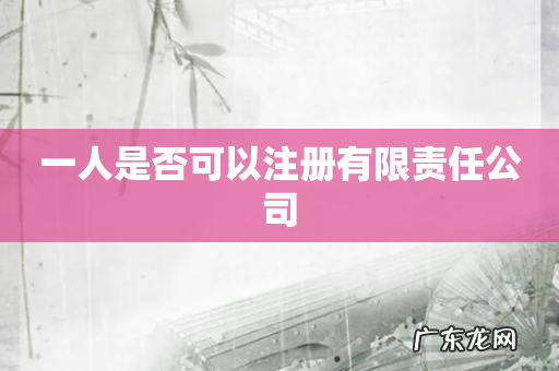 一人是否可以注册有限责任公司