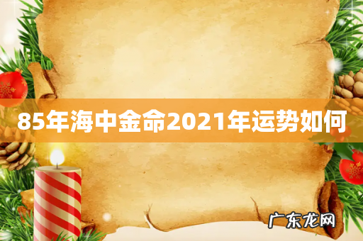 85年海中金命2021年运势如何
