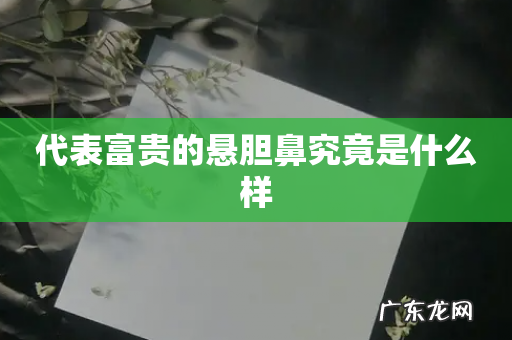 代表富贵的悬胆鼻究竟是什么样