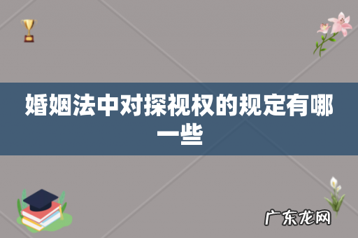 婚姻法中对探视权的规定有哪一些