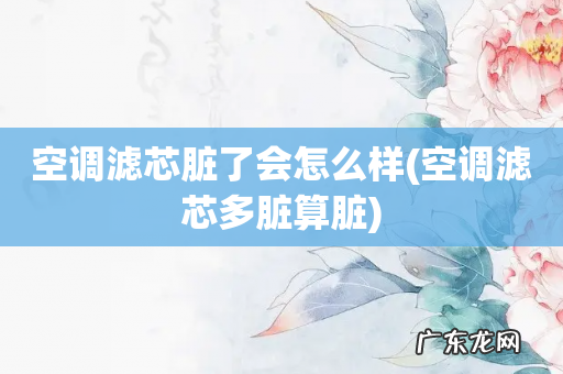 空调滤芯多脏算脏 空调滤芯脏了会怎么样