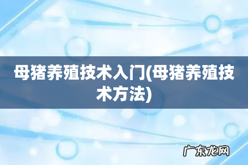 母猪养殖技术方法 母猪养殖技术入门
