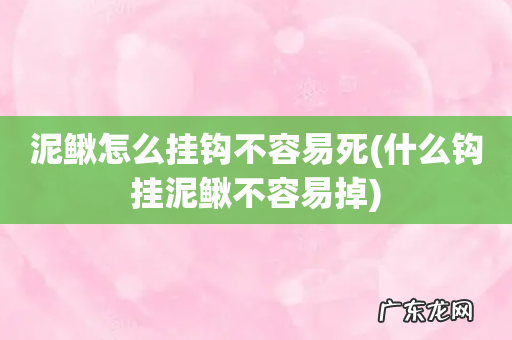 什么钩挂泥鳅不容易掉 泥鳅怎么挂钩不容易死