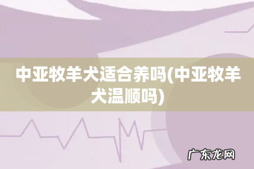 中亚牧羊犬温顺吗 中亚牧羊犬适合养吗