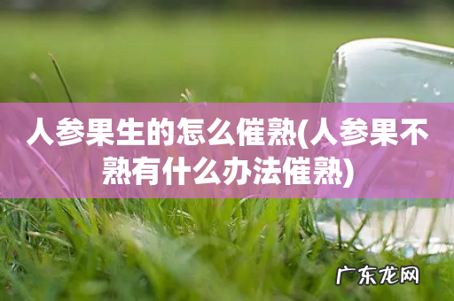 人参果不熟有什么办法催熟 人参果生的怎么催熟