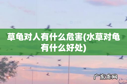 水草对龟有什么好处 草龟对人有什么危害