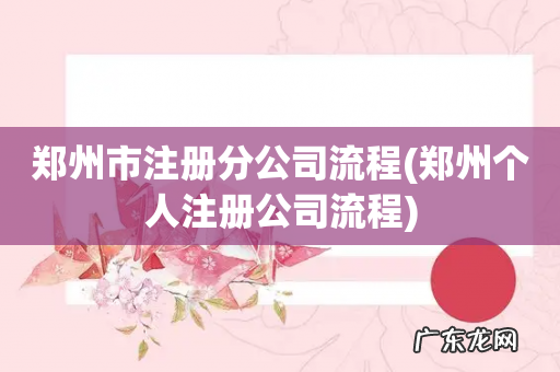 郑州个人注册公司流程 郑州市注册分公司流程