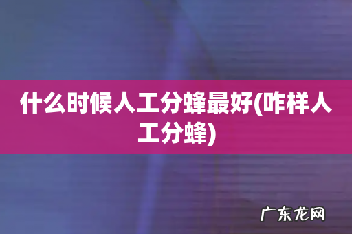 咋样人工分蜂 什么时候人工分蜂最好