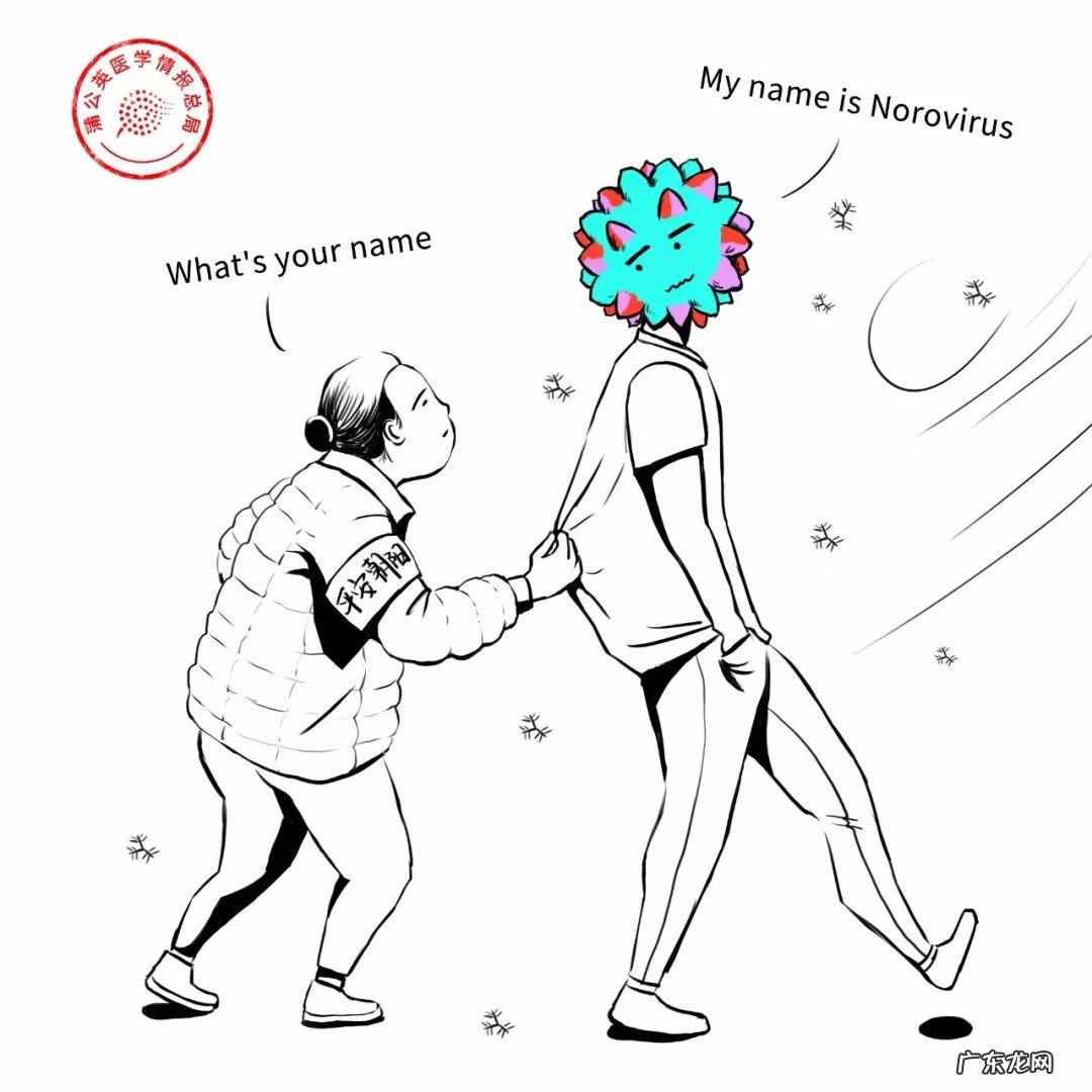 诺如病毒的症状和治疗方法教案