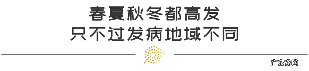 诺如病毒的症状和治疗方法教案