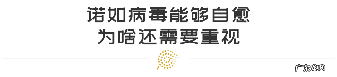 诺如病毒的症状和治疗方法教案