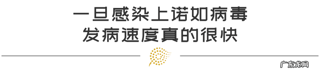 诺如病毒的症状和治疗方法教案