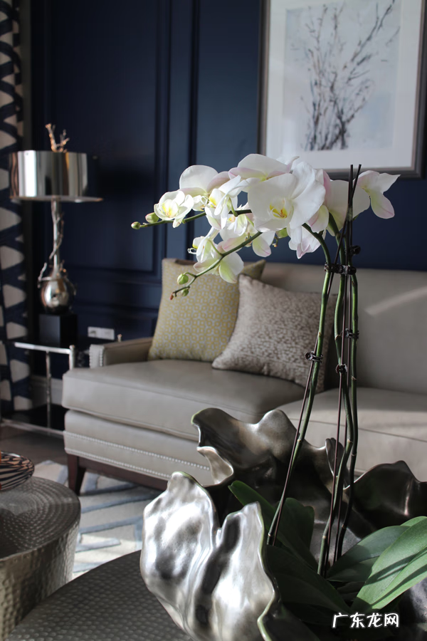 天安名门美食街怎么样 天安名门的风水