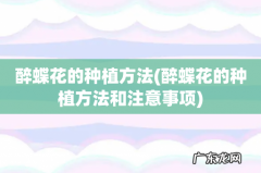 醉蝶花的种植方法和注意事项 醉蝶花的种植方法