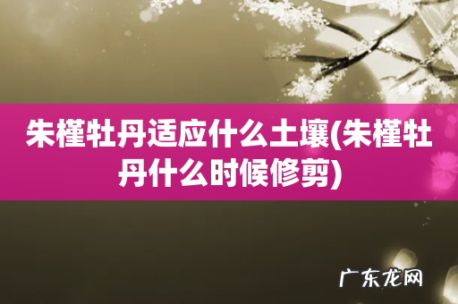 朱槿牡丹什么时候修剪 朱槿牡丹适应什么土壤