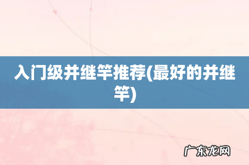 最好的并继竿 入门级并继竿推荐