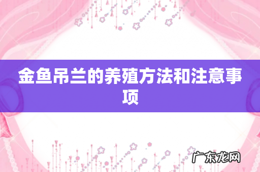 金鱼吊兰的养殖方法和注意事项