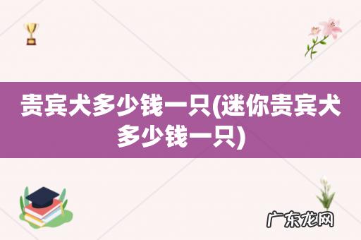 迷你贵宾犬多少钱一只 贵宾犬多少钱一只