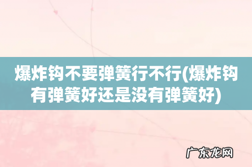 爆炸钩有弹簧好还是没有弹簧好 爆炸钩不要弹簧行不行
