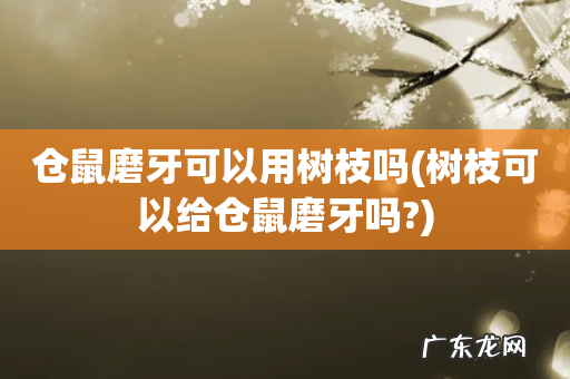树枝可以给仓鼠磨牙吗? 仓鼠磨牙可以用树枝吗