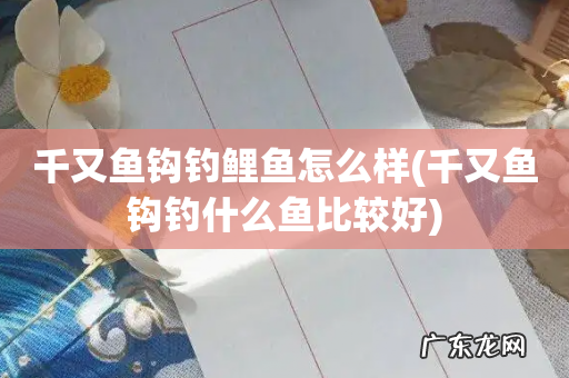 千又鱼钩钓什么鱼比较好 千又鱼钩钓鲤鱼怎么样