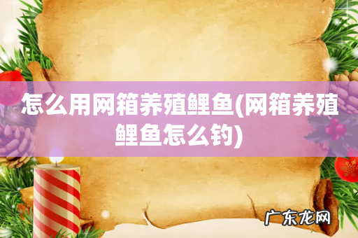 网箱养殖鲤鱼怎么钓 怎么用网箱养殖鲤鱼