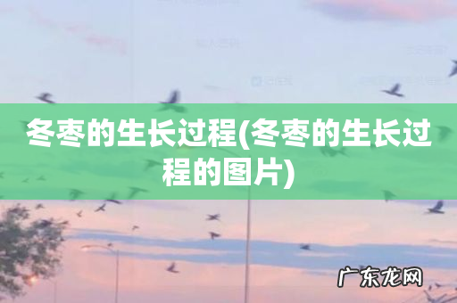 冬枣的生长过程的图片 冬枣的生长过程