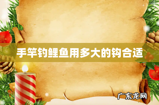 手竿钓鲤鱼用多大的钩合适