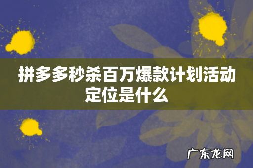 拼多多秒杀百万爆款计划活动定位是什么