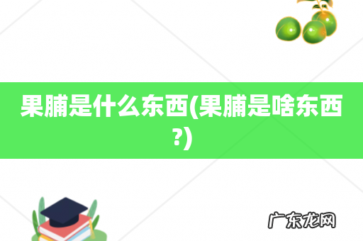 果脯是啥东西? 果脯是什么东西