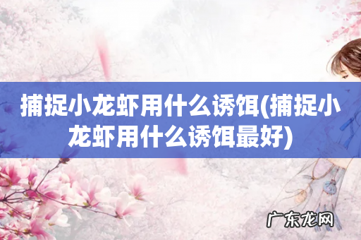 捕捉小龙虾用什么诱饵最好 捕捉小龙虾用什么诱饵