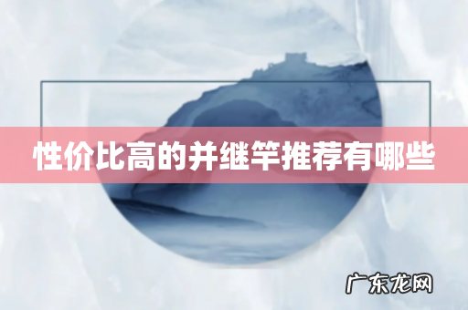 性价比高的并继竿推荐有哪些