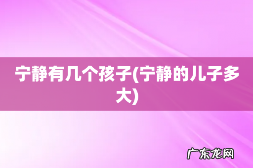 宁静的儿子多大 宁静有几个孩子