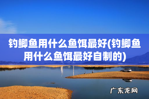 钓鲫鱼用什么鱼饵最好自制的 钓鲫鱼用什么鱼饵最好