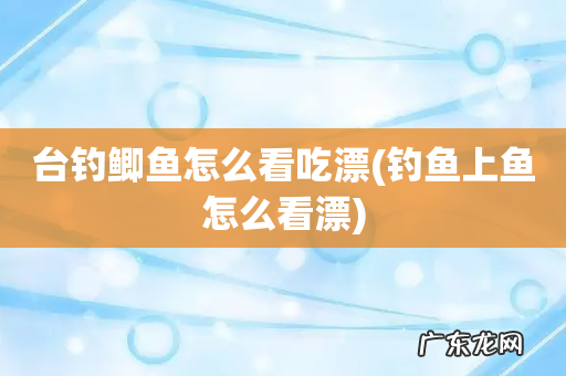 钓鱼上鱼怎么看漂 台钓鲫鱼怎么看吃漂