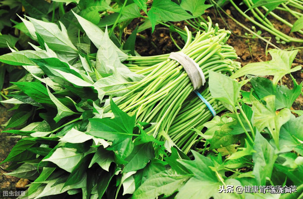 番薯种类和营养价值 番薯富含的营养价值