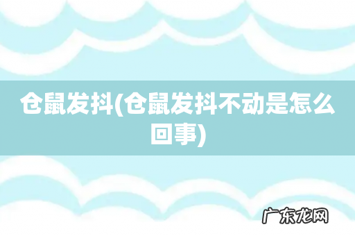 仓鼠发抖不动是怎么回事 仓鼠发抖