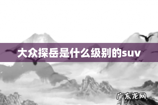 大众探岳是什么级别的suv